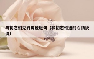 与初恋相见的说说短句（和初恋相遇的心情说说）