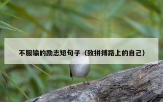 不服输的励志短句子（致拼搏路上的自己）