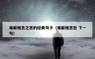 难解相思之苦的经典句子（难解相思愁 下一句）