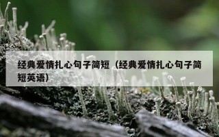 经典爱情扎心句子简短（经典爱情扎心句子简短英语）
