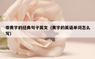 带黄字的经典句子英文（黄字的英语单词怎么写）