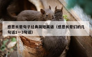 感恩长辈句子经典简短英语（感恩长辈们的几句话1一3句话）