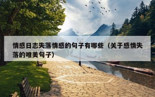 情感日志失落情感的句子有哪些（关于感情失落的唯美句子）