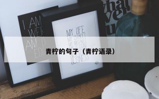 青柠的句子（青柠语录）