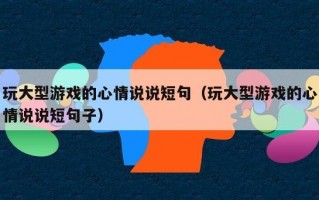 玩大型游戏的心情说说短句（玩大型游戏的心情说说短句子）