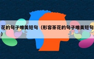 花的句子唯美短句（形容茶花的句子唯美短句）
