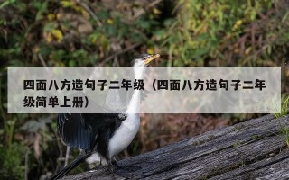 四面八方造句子二年级（四面八方造句子二年级简单上册）