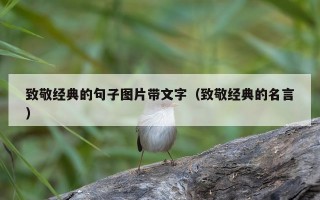 致敬经典的句子图片带文字（致敬经典的名言）