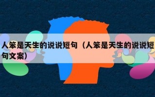 人笨是天生的说说短句（人笨是天生的说说短句文案）