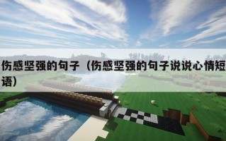 伤感坚强的句子（伤感坚强的句子说说心情短语）