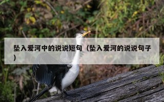坠入爱河中的说说短句（坠入爱河的说说句子）