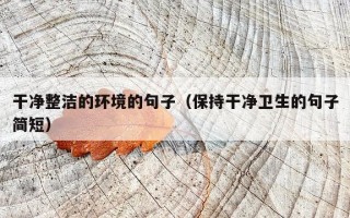 干净整洁的环境的句子（保持干净卫生的句子简短）
