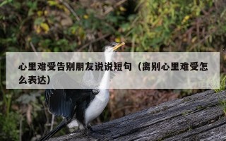 心里难受告别朋友说说短句（离别心里难受怎么表达）