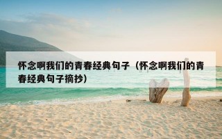 怀念啊我们的青春经典句子（怀念啊我们的青春经典句子摘抄）