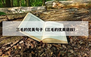 三毛的优美句子（三毛的优美语段）
