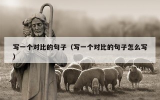 写一个对比的句子（写一个对比的句子怎么写）