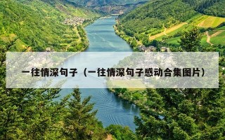一往情深句子（一往情深句子感动合集图片）