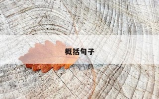 概括句子