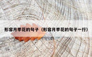 形容月季花的句子（形容月季花的句子一行）