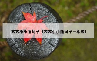大大小小造句子（大大小小造句子一年级）
