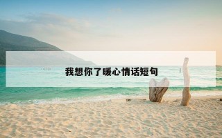 我想你了暖心情话短句
