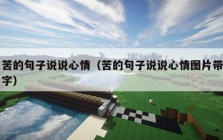 苦的句子说说心情（苦的句子说说心情图片带字）