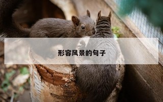 形容风景的句子 形容风景的句子