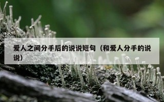 爱人之间分手后的说说短句（和爱人分手的说说）
