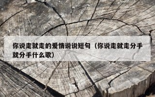 你说走就走的爱情说说短句（你说走就走分手就分手什么歌）