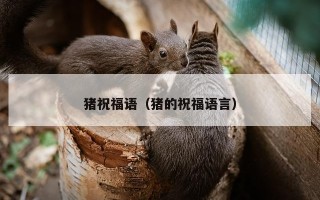猪祝福语（猪的祝福语言）