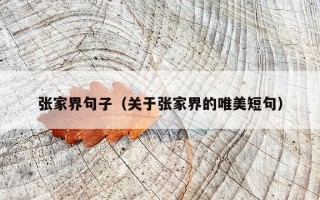 张家界句子（关于张家界的唯美短句）