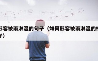 形容被雨淋湿的句子（如何形容被雨淋湿的样子）