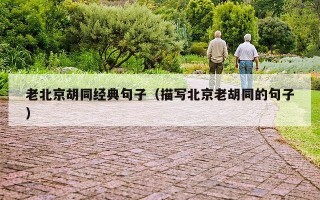 老北京胡同经典句子（描写北京老胡同的句子）