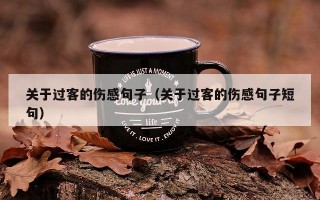关于过客的伤感句子（关于过客的伤感句子短句）
