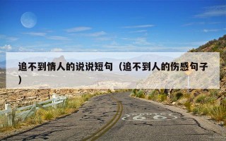追不到情人的说说短句（追不到人的伤感句子）