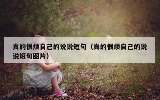 真的很烦自己的说说短句（真的很烦自己的说说短句图片）