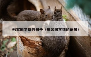 形容同学情的句子（形容同学情的语句）