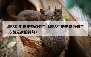 表达对生活无奈的句子（表达生活无奈的句子,心酸无奈的诗句）