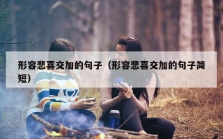形容悲喜交加的句子（形容悲喜交加的句子简短）