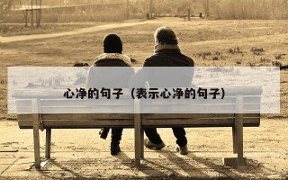 心净的句子（表示心净的句子）