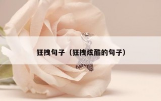 狂拽句子（狂拽炫酷的句子）