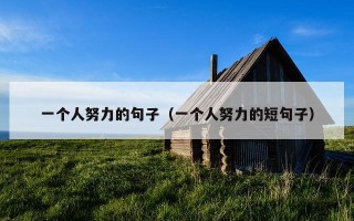 一个人努力的句子（一个人努力的短句子）