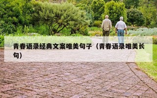 青春语录经典文案唯美句子（青春语录唯美长句）