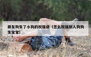 朋友狗生了小狗的祝福语（怎么祝福别人狗狗生宝宝）