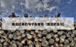 廉洁经典的句子有哪些（廉洁的金句）