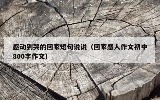感动到哭的回家短句说说（回家感人作文初中800字作文）