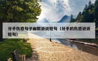 分手伤感句子幽默说说短句（分手的伤感说说短句）