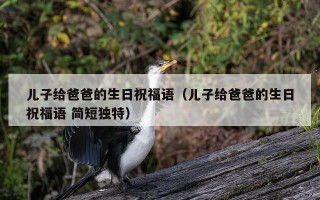 儿子给爸爸的生日祝福语（儿子给爸爸的生日祝福语 简短独特）