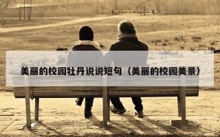 美丽的校园牡丹说说短句（美丽的校园美景）
