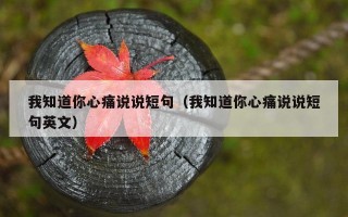 我知道你心痛说说短句（我知道你心痛说说短句英文）